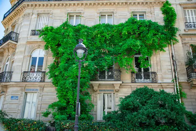 green facade in Paris