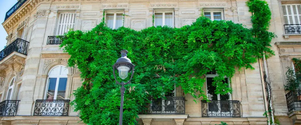 green facade on a building in paris