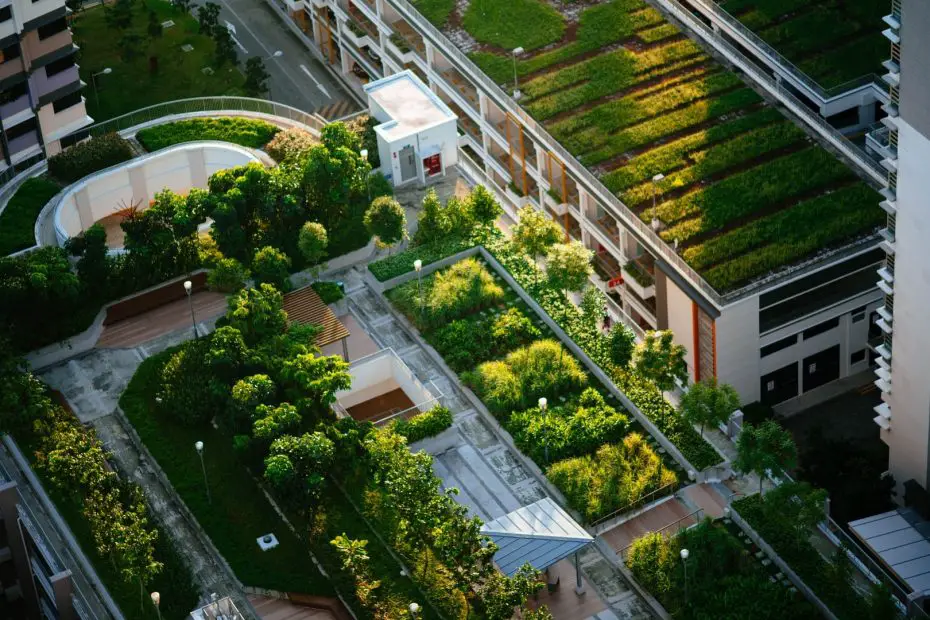 green building roof