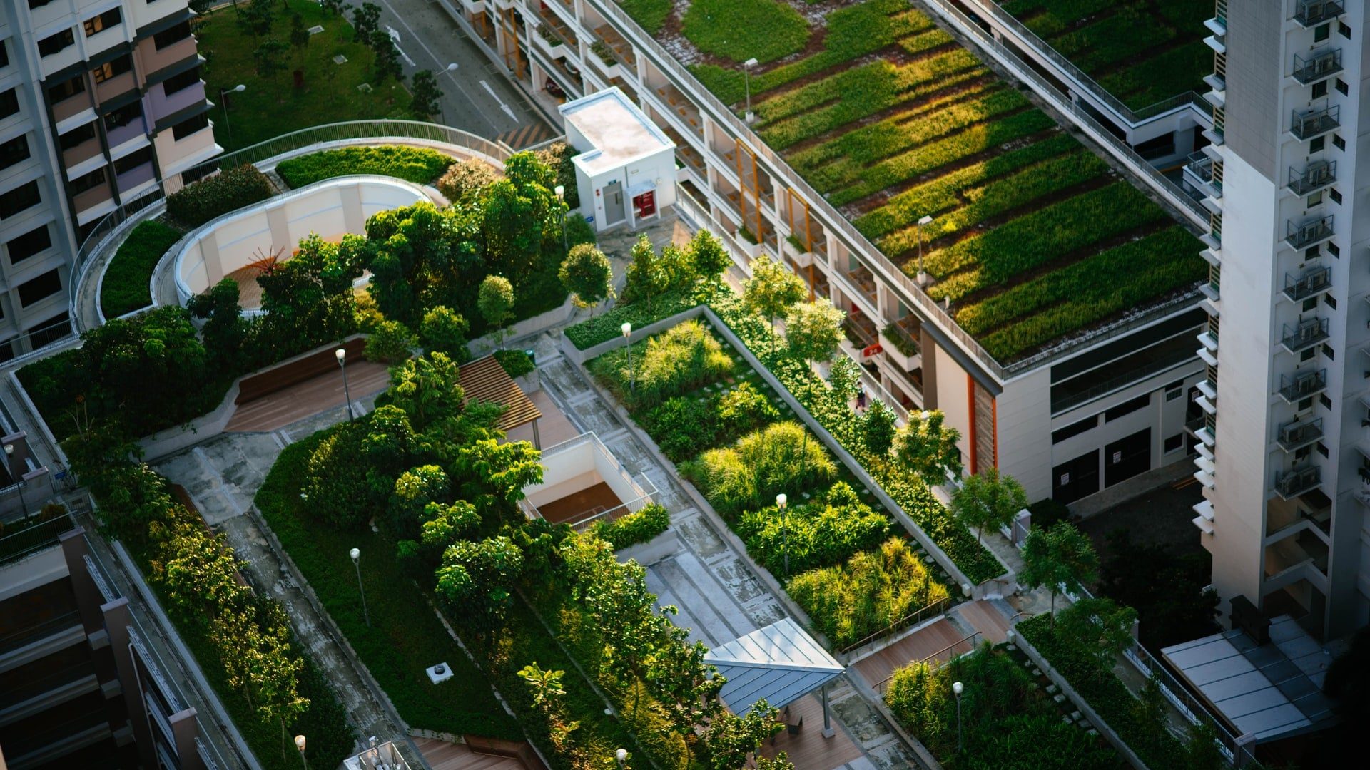 green-building-advantages-and-disadvantages-that-matter-smart-cre