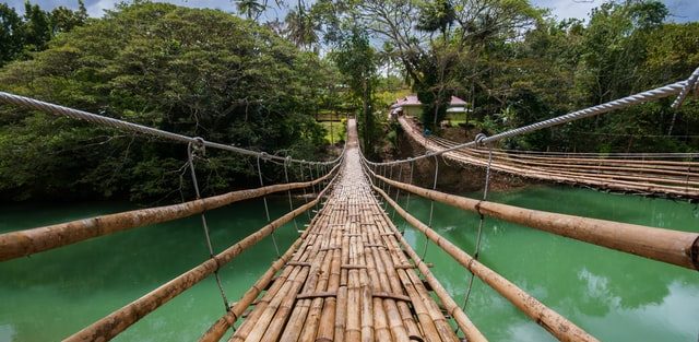 a bridge made of bamboo