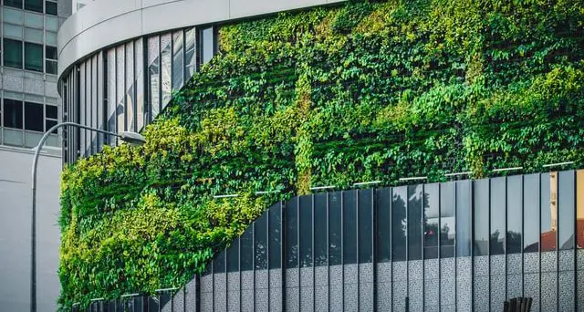 green building with green facade