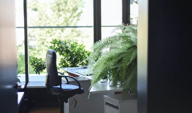 sustainable workplace in office