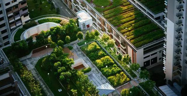 green roof on commercial building