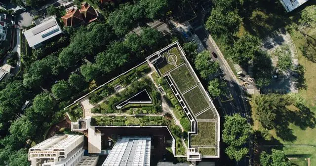 green roof in a city