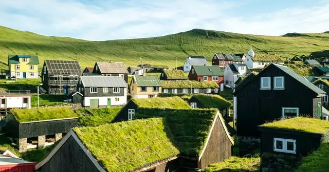 green roofs in a countryside area
